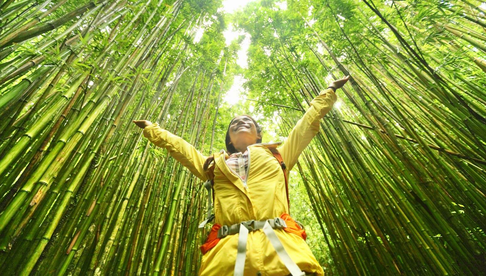 Get to know us 7 bamboo forest nature woman environment freedom open arms success environmental eco friendly sustainability bamboo forest 172550205 sustainability