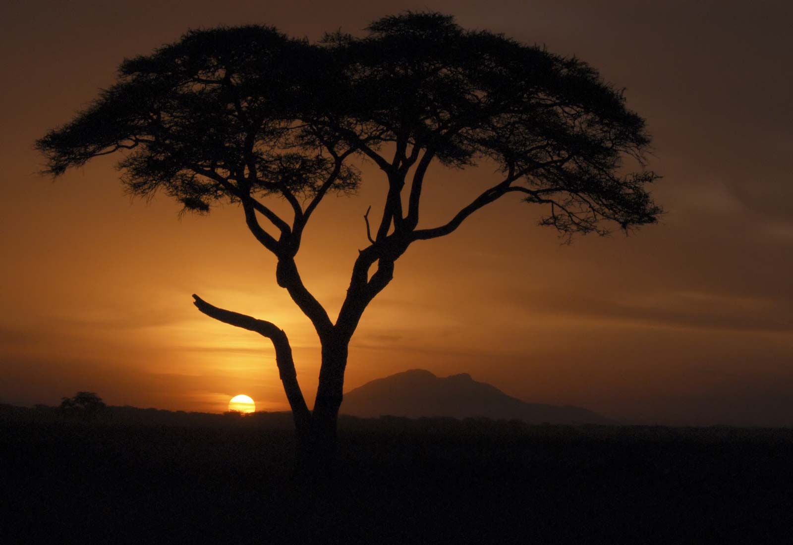 Global 29 dreamstimewatermarked 9505036 africa